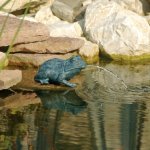 Ubbink cracheur de bassin en forme de grenouille 12 cm 1386008 Ubbink cracheur de bassin en forme de grenouille 12 cm 1386008