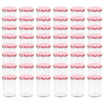 Vidaxl 48 pcs pots  confiture couvercle blanc et rouge verre 400 ml