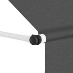 Vidaxl auvent manuel r�tractable 400 cm anthracite