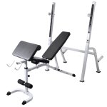Vidaxl banc d'entranement et support de poids jeu d'haltres 60, 5 kg