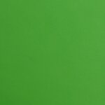 Vidaxl chaise de bureau vert similicuir