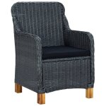 Vidaxl chaises de jardin avec coussins 2 pcs rsine tresse gris fonc
