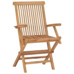 Vidaxl chaises de jardin pliables 2 pcs bois de teck massif