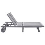 Vidaxl chaise longue de jardin 2 places avec coussin gris acacia
