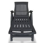 Vidaxl chaise longue avec repose - pied plastique anthracite