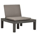 Vidaxl chaises de salon de jardin et coussins 2pc plastique anthracite