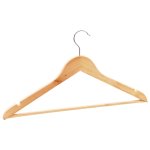 Vidaxl cintres antidrapants 100 pcs bois dur