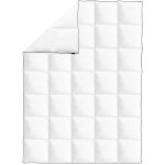 Vidaxl couette en duvet d'hiver 150 x 200 cm Vidaxl couette en duvet d'hiver 150 x 200 cm