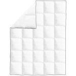 Vidaxl couette en duvet d'hiver 2 pcs 140 x 200 cm Vidaxl couette en duvet d'hiver 2 pcs 140 x 200 cm