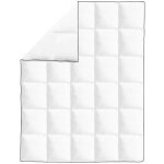 Vidaxl couette en duvet d'hiver 2 pcs 150 x 200 cm Vidaxl couette en duvet d'hiver 2 pcs 150 x 200 cm