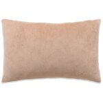Vidaxl coussins 2 pcs tissu 40x60 cm beige