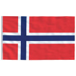 Vidaxl drapeau norvge 90x150 cm