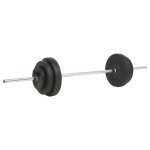 Vidaxl ensemble d'haltres 30 kg