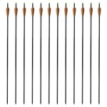 Vidaxl fl�che d'arc compos�e standard 12 pcs 30  0, 8 cm fibre de verre
