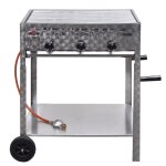 Vidaxl grill commercial  gaz 3 zones de cuisson et base inox argent