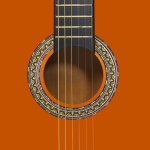 Vidaxl guitare classique avec sac pour dbutants 4 / 4 39