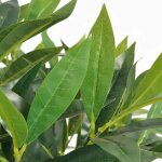 Vidaxl laurier artificiel avec pot 125 cm vert