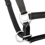 Vidaxl licol licou en cuir rglable pour curie cheval noir