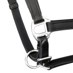 Vidaxl licol licou en cuir rglable pour curie cob noir