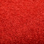 Vidaxl paillasson lavable rouge 60x90 cm Vidaxl paillasson lavable rouge 60x90 cm