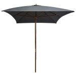 Vidaxl parasol d'ext�rieur avec m�t en bois 200 x 300 cm anthracite