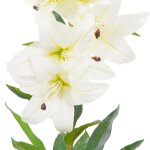 Vidaxl plante artificielle lys avec pot blanc 65 cm