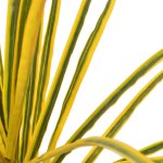 Vidaxl plante artificielle avec pot dracaena jaune 125 cm