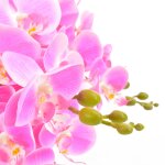 Vidaxl plante artificielle avec pot orchide rose 60 cm