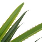 Vidaxl plante artificielle avec pot yucca vert 145 cm