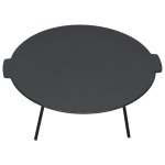 Vidaxl plaque de gril 44 cm fonte