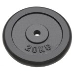 Vidaxl plaque de poids 2 pcs 2x20 kg fonte