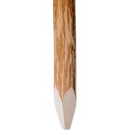 Vidaxl poteaux pointus de clture 4 pcs bois de noisetier 120 cm