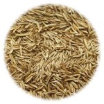 Vidaxl semences de gazon pour la scheresse et la chaleur 10 kg
