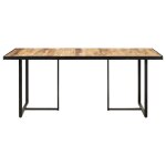 Vidaxl table de salle � manger 160 cm bois de manguier brut