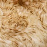 Vidaxl tapis en peau de mouton 60 x 180 cm mlange de marron