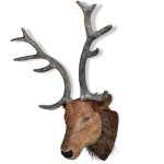 Vidaxl tte de cerf accroche murale dco naturelle