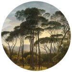 Wallart papier peint cercle umbrella pines in italy 142, 5 cm