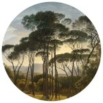 Wallart papier peint cercle umbrella pines in italy 190 cm