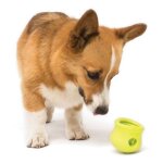 Zogoflex jouet pour chiens toppl taille l vert 1958