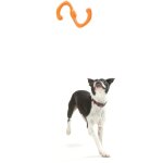 Zogoflex jouet  mcher pour chiens bumi taille l orange 1947