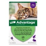 Advantage 80 solution antipuce chat lapin + 4kg 4 pipettes