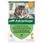 Advantage solution antipuce chat lapin 1  4kg 4 pipettes