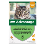 Advantage solution antipuce chat lapin 1  4kg 4 pipettes
