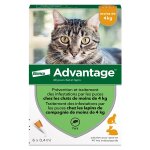 Advantage solution antipuce chat lapin 1  4kg 6 pipettes