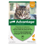 Advantage solution antipuce chat lapin 1  4kg 6 pipettes