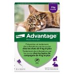 Advantage solution antipuce chat lapin + 4kg 6 pipettes