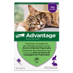 Advantage solution antipuce chat lapin + 4kg 6 pipettes