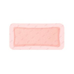 Allevyn pansement hydrocellulaire gentle border 10x30cm 10 unit�s