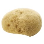 Avril accessoires Éponge fine naturelle visage Avril accessoires Éponge fine naturelle visage