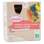 Babybio fruits gourde pomme myrtille fraise + 6m bio 4 x 90g Babybio fruits gourde pomme myrtille fraise + 6m bio 4 x 90g